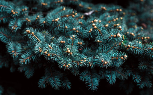 1455638 (a): :2560x1600